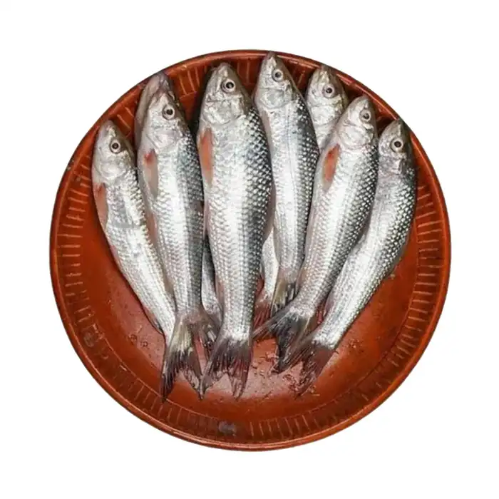 Bata Fish 60g - 70g