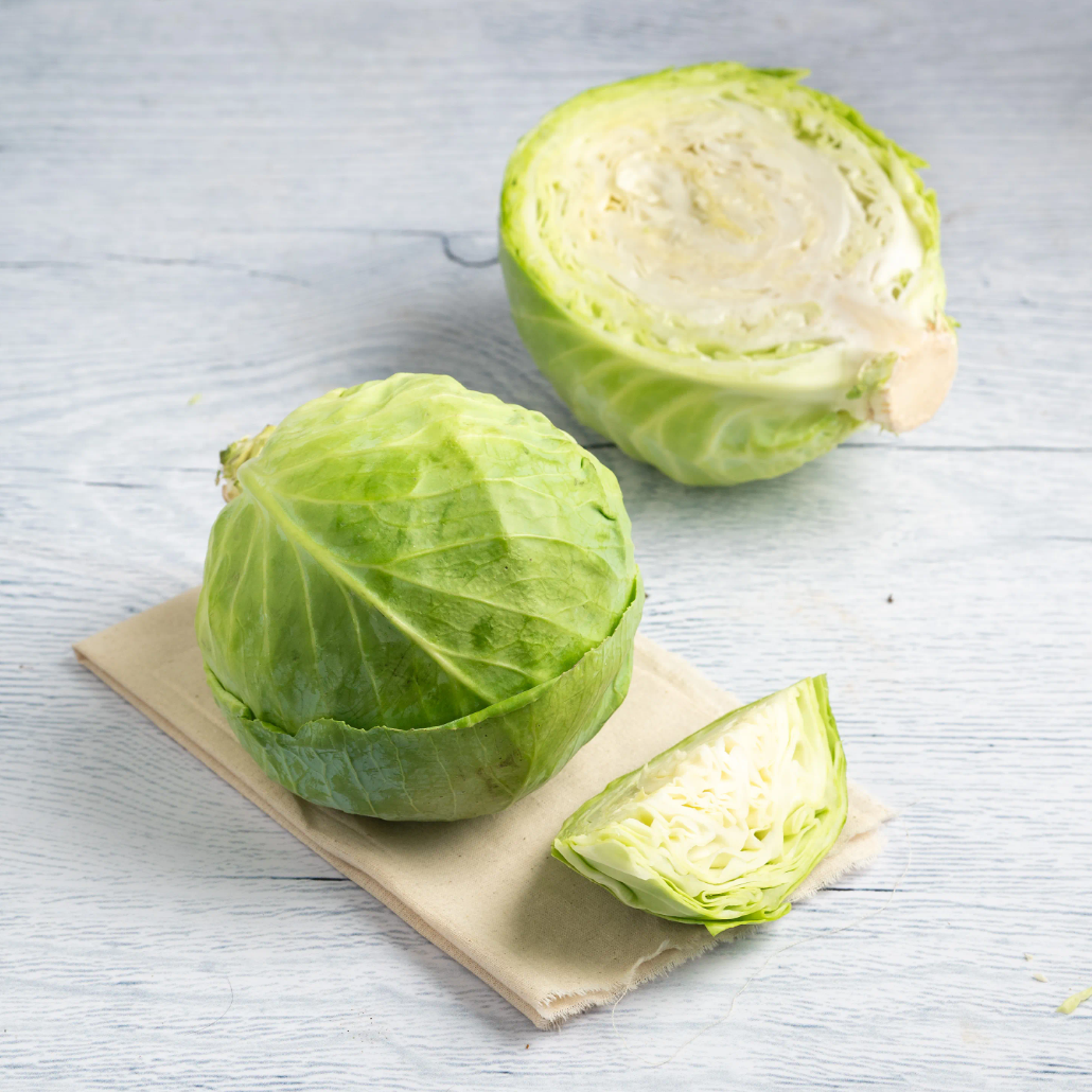 Cabbage 
